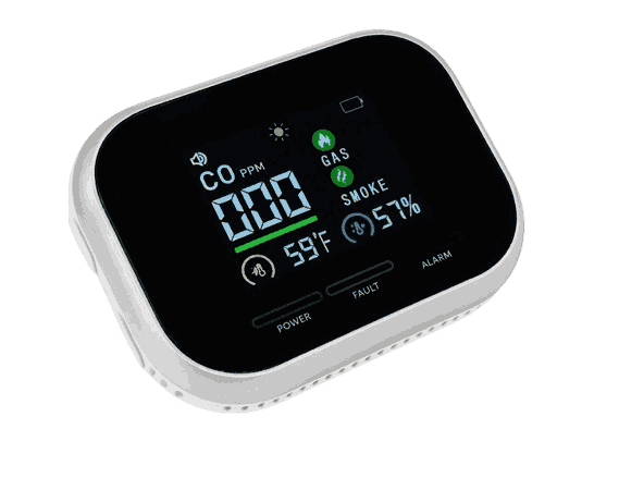 CarbonOne Monoxide Detector BOGO