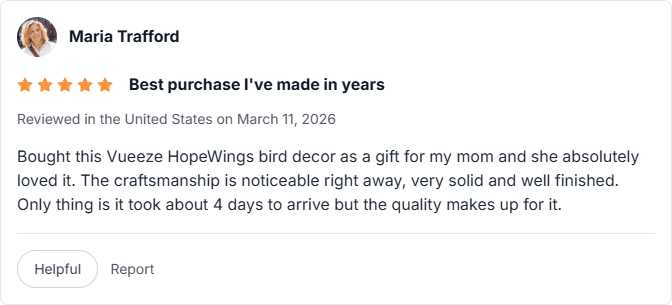 amazon review