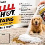 Pet Stain Remover Reviews