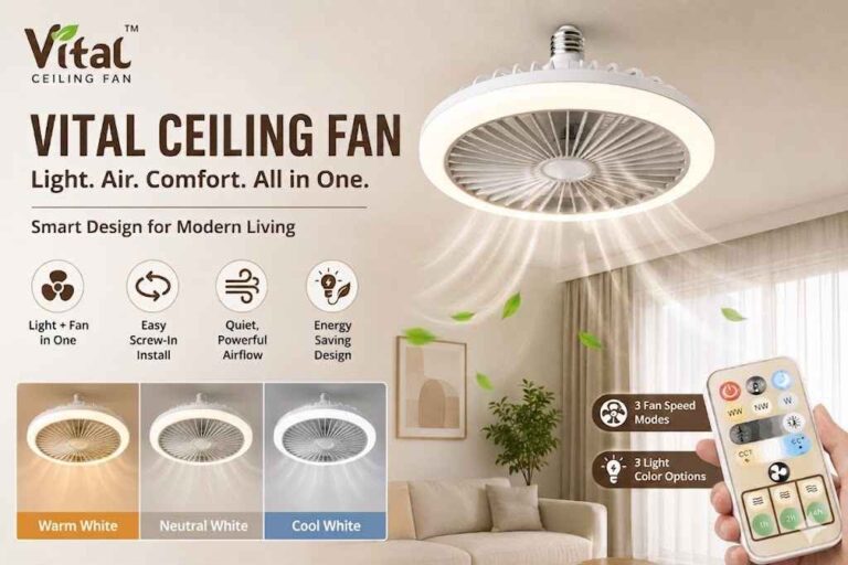 Vital Ceiling Fan Reviews