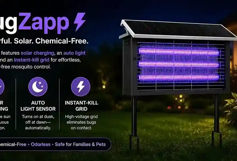 BugZapp Reviews