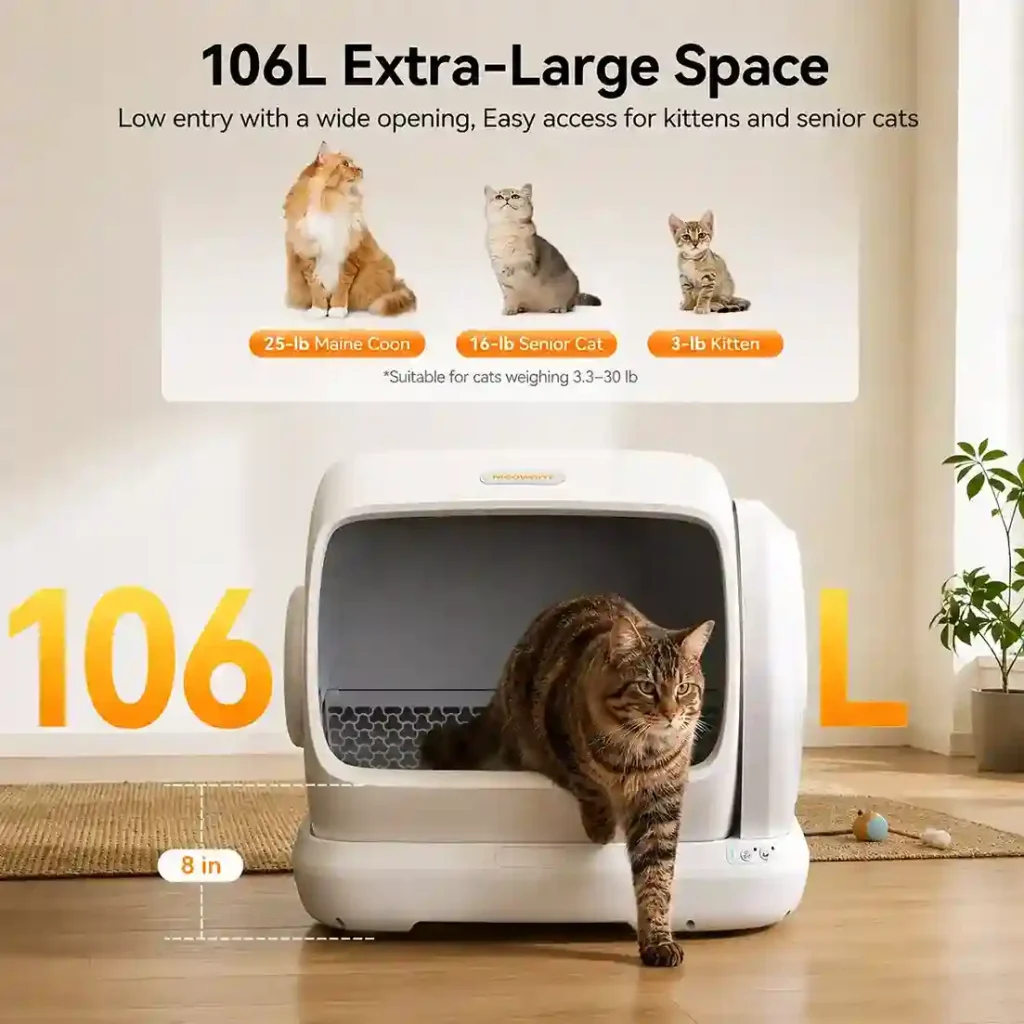 Meowant