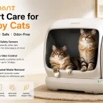 Meowant Reviews