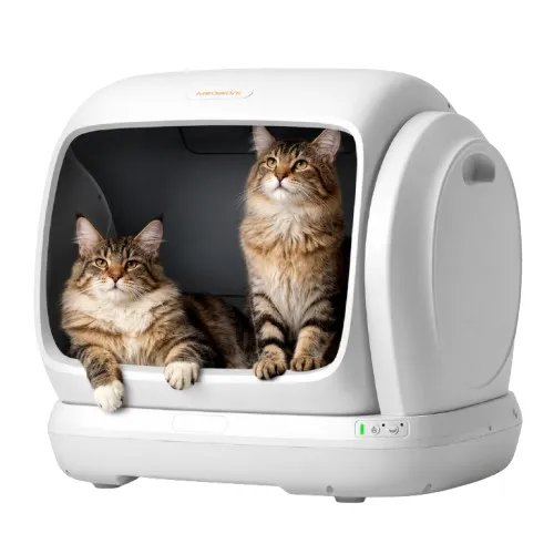 Meowant 
