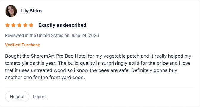 amazon review