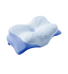 Derila ERGO Memory Foam Pillow
