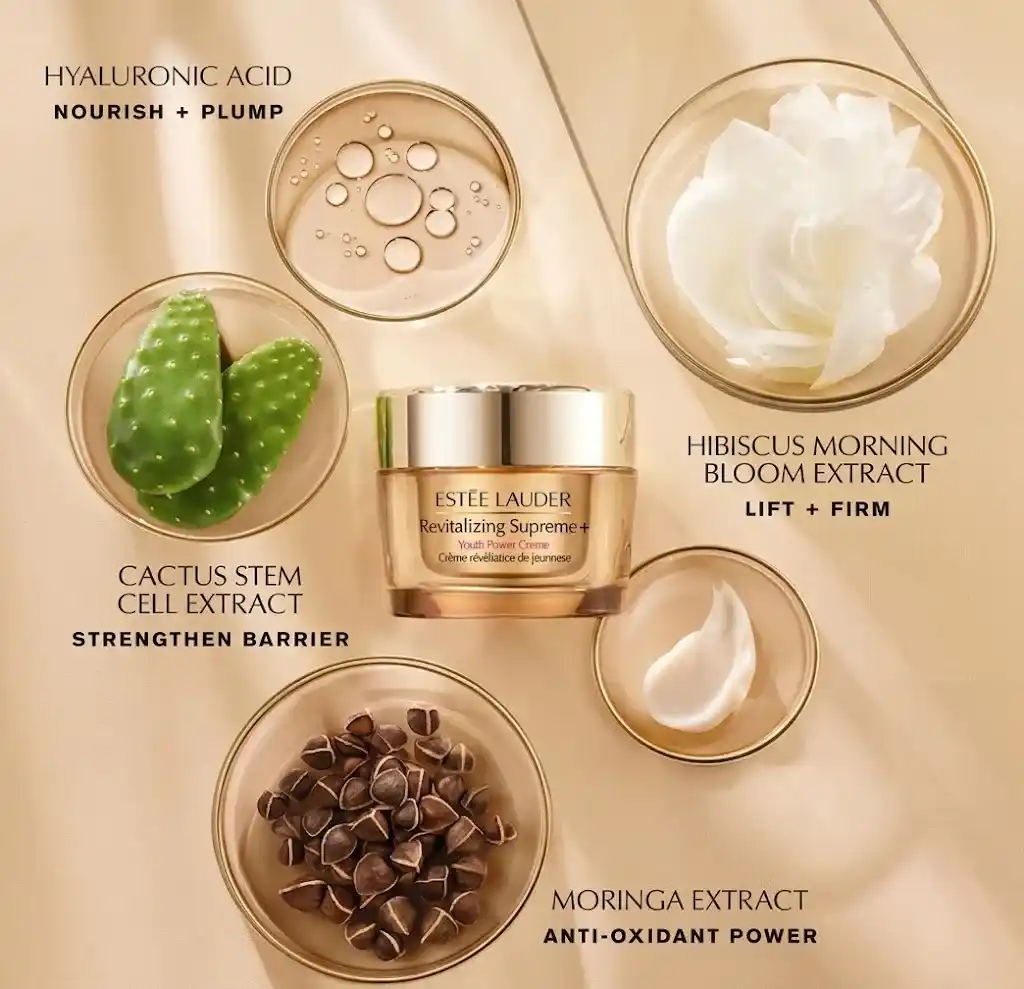 Estee Lauder youth power cream