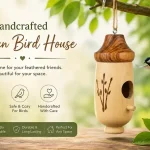Hatmeo Hummingbird House Reviews