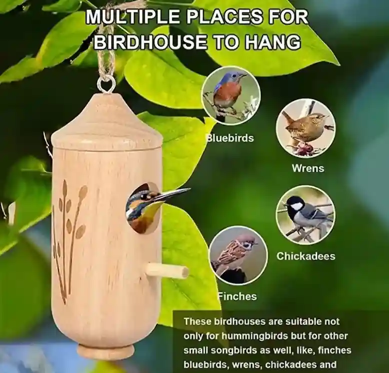 Hatmeo bird house for hummingbirds