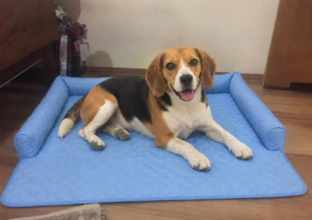 Paw lax mat