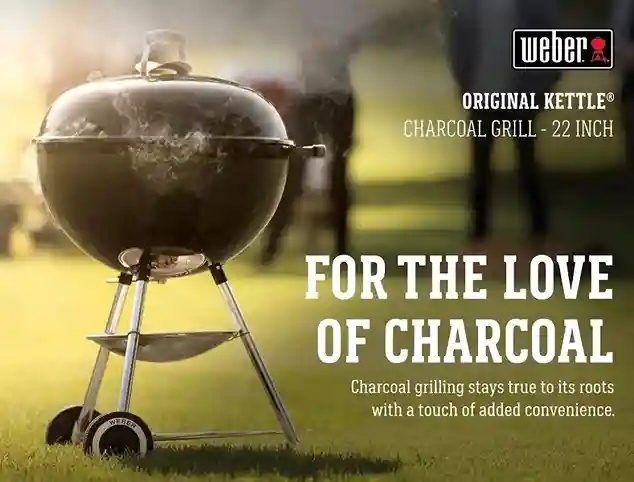 charcoal grill Weber 22 inch