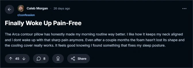 reddit ArcaPillow review