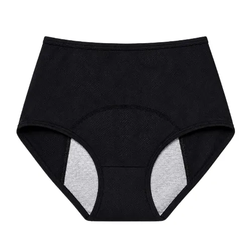 Absorba Period Underwear