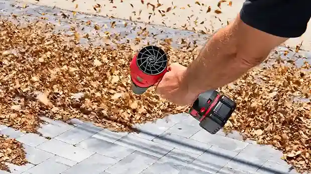 Bullseye Handheld Blower