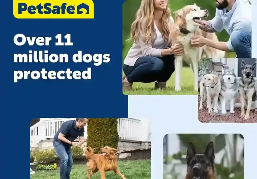 PetSafe
