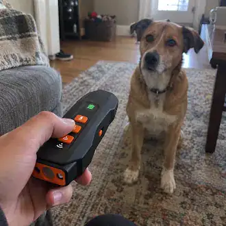 Tiktok Image