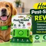 featured image of pest sheild