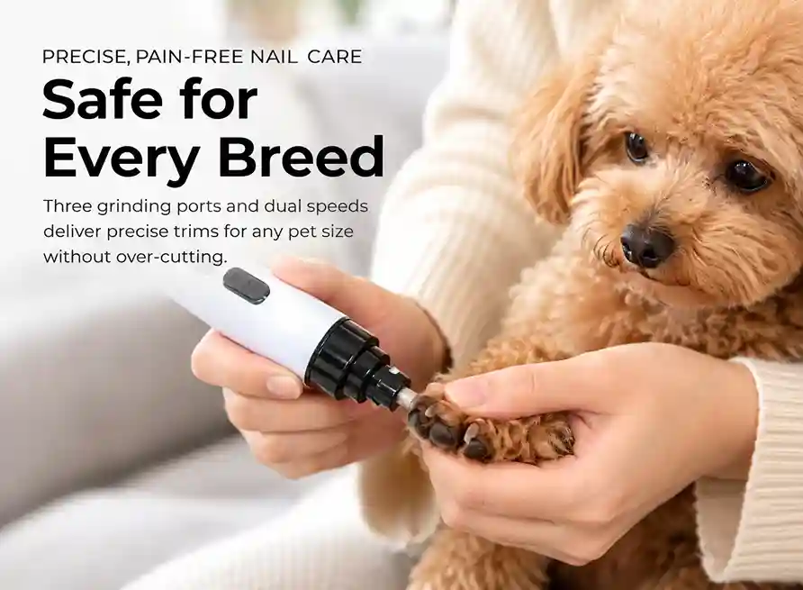 Silent Trim for cats