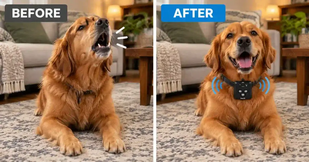 before and after