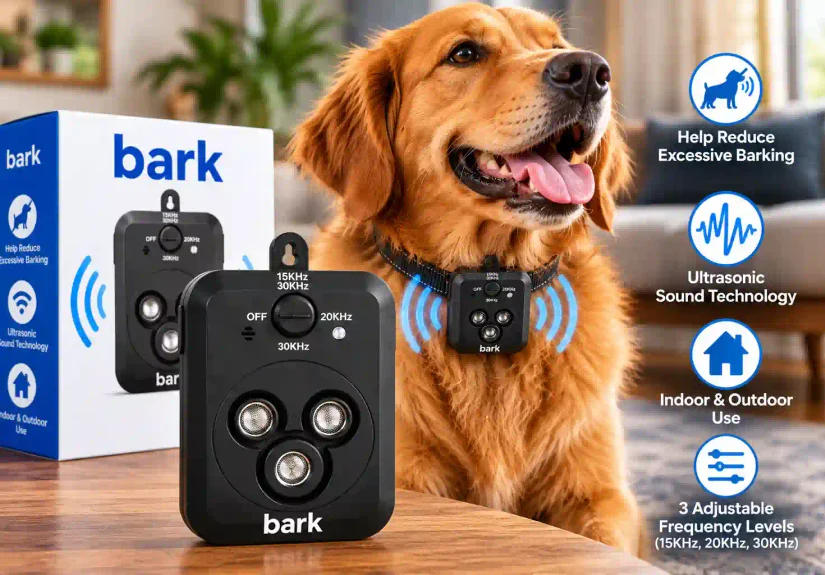 featured image of barkbuz