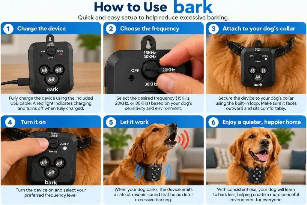 how to use the bark buz